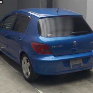 PEUGEOT 307 – 2005 – 3.5