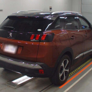 PEUGEOT 3008 – 2018 – 5