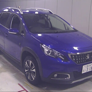PEUGEOT 2008 – 2019 – 4