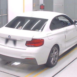 BMW 2 SERIES – 2018 – R
