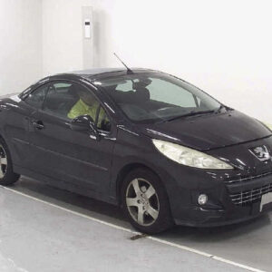 PEUGEOT 207 – 2010 – 3.5