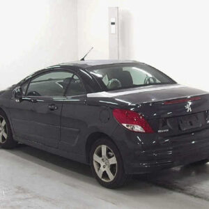 PEUGEOT 207 – 2010 – 3.5