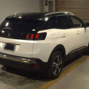 PEUGEOT 3008 – 2019 – 4