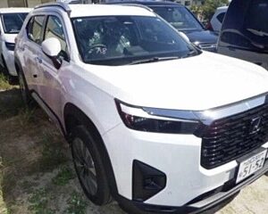 Honda WR-V 2024/9
